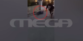 Capture 288.png