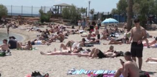 Capture 39.jpg