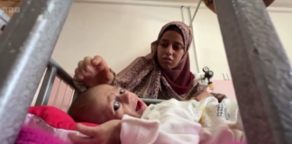 GAZA 2.png