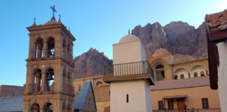 MONI SINA 1024x650.png