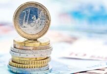 Tameio Anakampsis 1 1.jpg