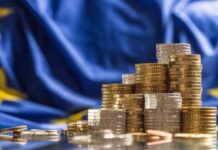 Tameio Anakampsis 1.jpg