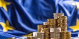 Tameio Anakampsis 1.jpg