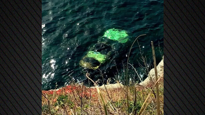 andro amaksi xrm.jpg