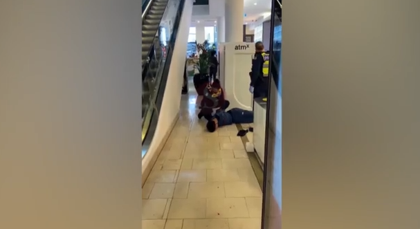 emelvo.png emelvo.png