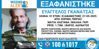 exafanisi pieria.jpg
