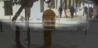 nomiki 3.png