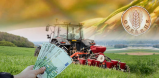 opekepe 1024x553.png