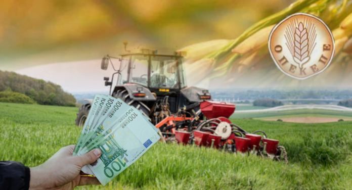 opekepe 1024x553.png