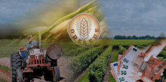 ot opekepe24 1024x600 1.jpg