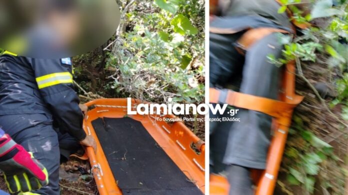 palaiokerasia diasosi.jpg palaiokerasia diasosi.jpg