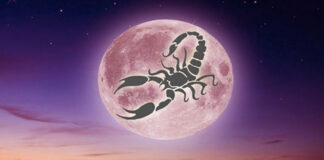 panselinos ston skorpio.jpg