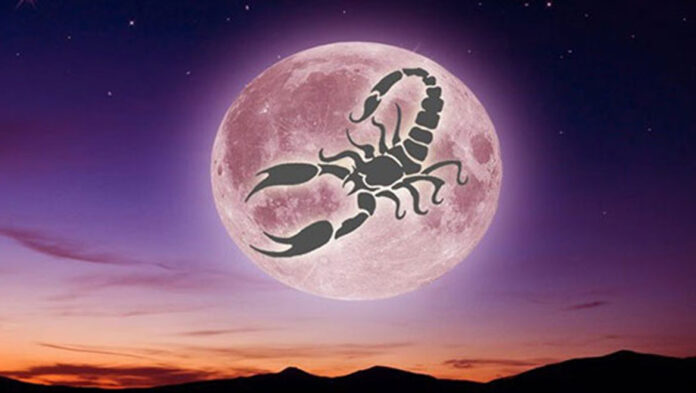 panselinos ston skorpio.jpg