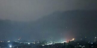 photo 5823393995001285214 y 1200x800 1 1024x683.jpg