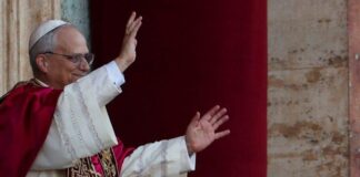 photo 5830393601987824789 y 768x511 1.jpg