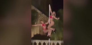 pole.png