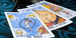 provlepseis taro.jpg