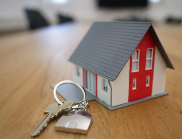 1751086212 akinita 1.jpg