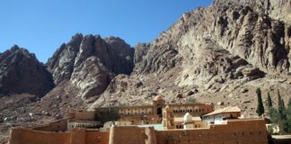 17874388 1200x800 1 1024x683.jpg