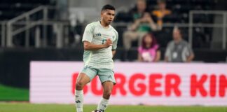 AP24256683660868 1.jpg