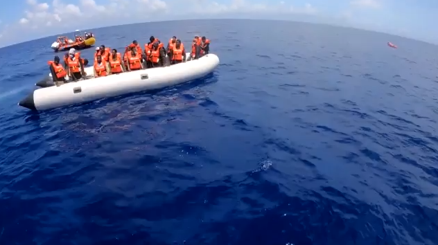 Capture 228.png Capture 228.png