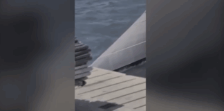 Capture 279.png