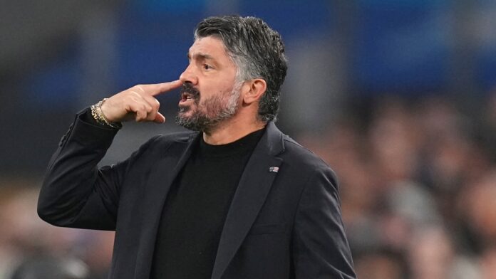 Gatusso.jpg Gatusso.jpg