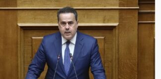 Stauroy Papastaurou 1.jpg