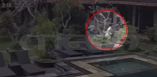 bali.png