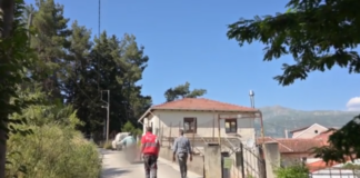 dasaki.png