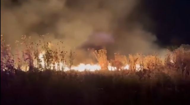 fotia 4.jpg fotia 4.jpg