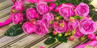 giorti louloudia.webp.webp