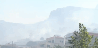 gotia5.png