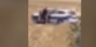 kiprso6 1024x447.png