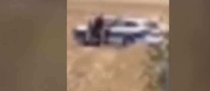 kiprso6 1024x447.png