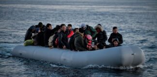 metanastes 1024x614.jpg