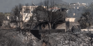palaia fokaia.png
