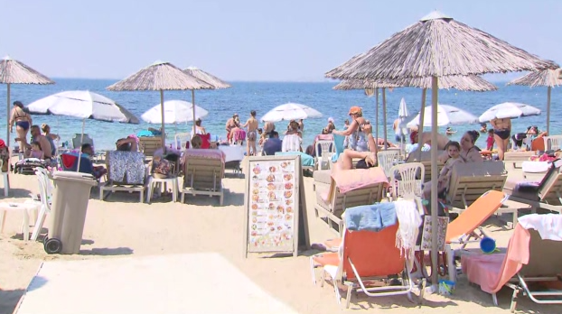 paralies 1.png paralies 1.png