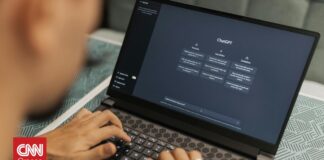 pexels bertellifotografia 16094040 og.jpg