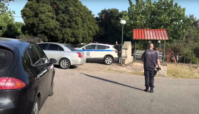 pigad dol 1200x686 1 1024x585.jpg