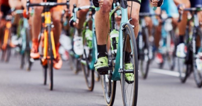 podilato1 1024x540.png