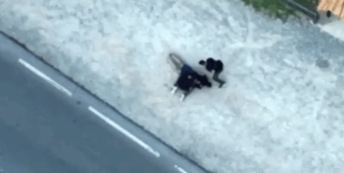 silipsi 1024x517.png