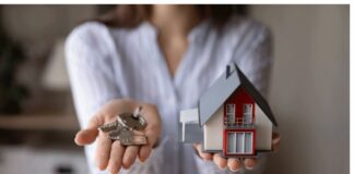 stegastika daneia 1.jpg