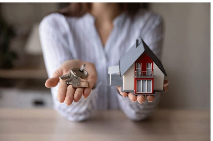 stegastika daneia 1.jpg