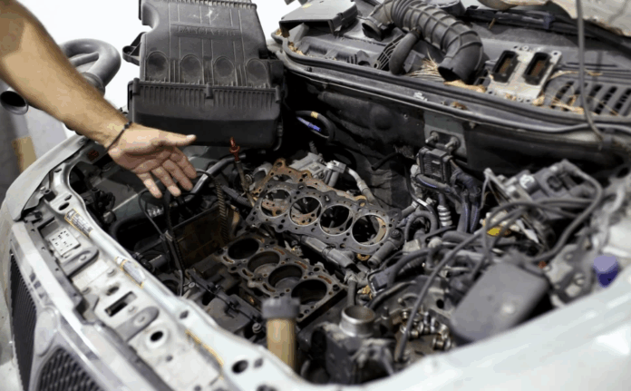 synergeia.png synergeia.png