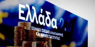 tameio anakampsis.jpeg