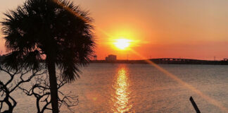 therino iliostasio.jpg