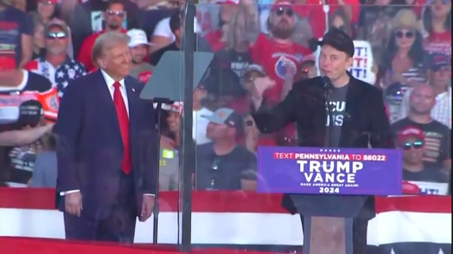 tramp mask.png tramp mask.png