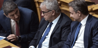 voridid 1024x653.png