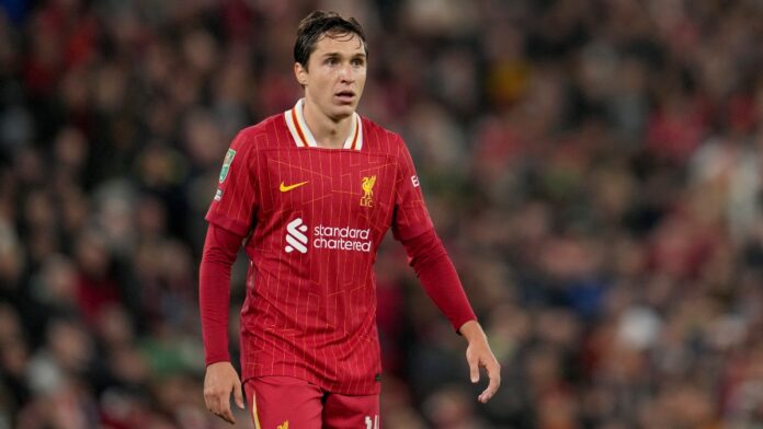 wfefgwe.jpg wfefgwe.jpg